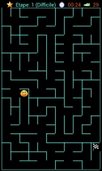 Capture du jeu de labyrinthe.